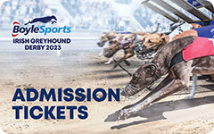 Click here to book your Admission Tickets to each night of the 2023 BoyleSports Irish Greyhound Derby in Dublin’s Shelbourne Park Greyhound Stadium