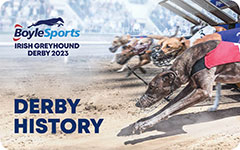 Click here to see the History of the Irish Greyhound Derby 