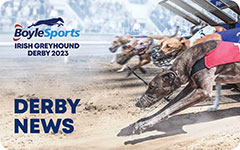 Click here to read all the latest BoyleSports Irish Greyhound Derby News with Ian Fortune