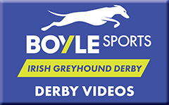 Image shows a blue button with BOYLE Sports Irish Greyhound Derby logo and the words Derby Videos