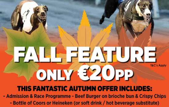 Picture shows details of the Fall Feature package which is available from Saturday 30th September to Saturday 18th November at Mullingar Greyhound Stadium. This online exclusive admission offer is just €20 per person and includes admission, race programme food and a drink. 