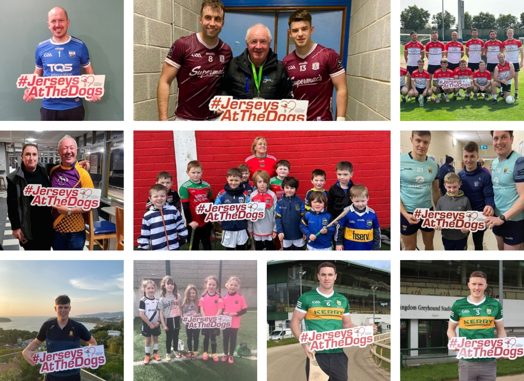 A selection of the teams and individuals across the Ireland and internationally who are lending their support to Jerseys At The Dogs in aid of the Dillon Quirke Foundation which takes place this weekend from Friday 31st March until Monday 3rd April. Please wear your jersey, go greyhound racing and donate what you can to the charity. 