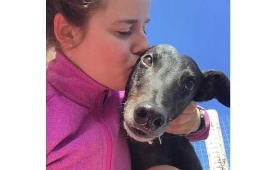 A kiss for one of her beloved greyhounds from Waterford's Aoife Dunphy