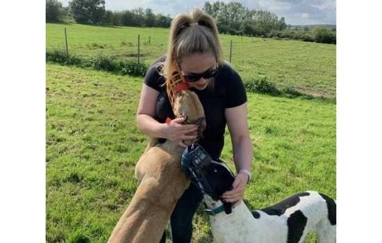 Julie O'Connell gets a hug from two of her greyhounds