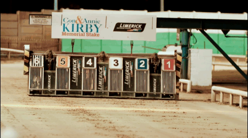 Come along to Limerick Greyhound Stadium and enjoy some of the best greyhound racing action at the Con & Annie Kirby Memorial 