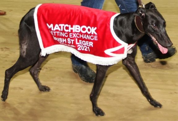Go Greyhound Racing Limerick irish st leger