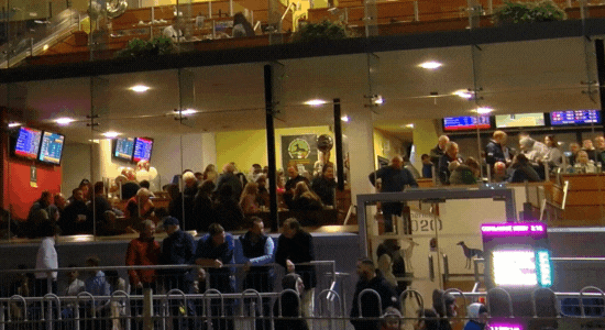 The crowd enjoying their night in the Mezz Bar in Limerick Greyhound Stadium which is glass-fronted and allows you to enjoy your night of racing with the comfort of a table for your group and tote and bar service