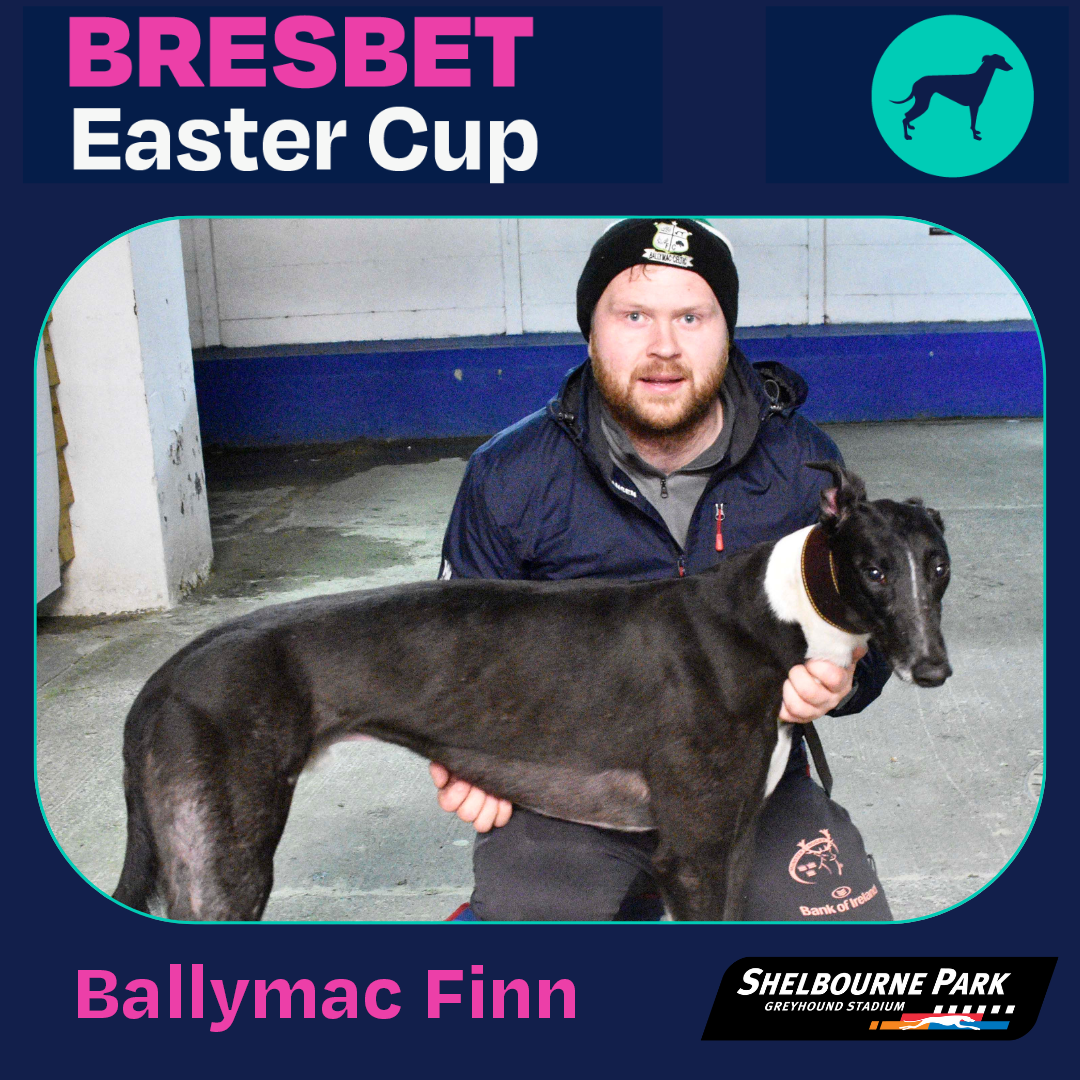 BresBet Easter Cup Ballymac Finn 