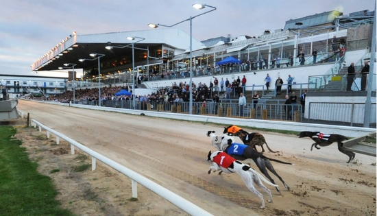 Entertainment and Greyhound Racing in Dublin at Shelbourne Park
