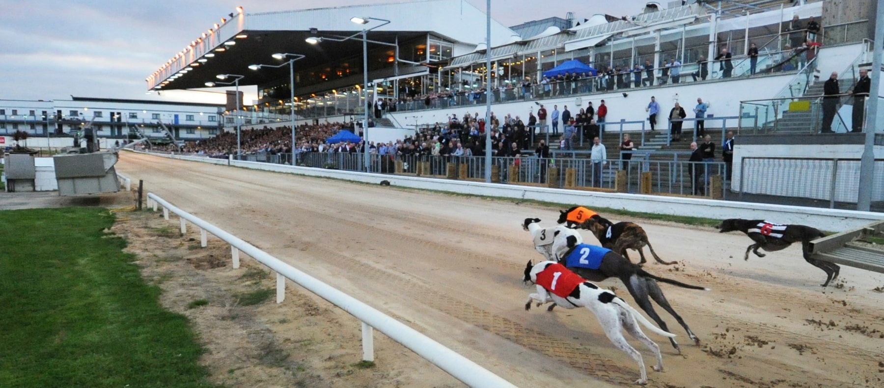 Greyhound Racing Ireland (GRI) Rásaíocht Con Éireann, Formally Irish