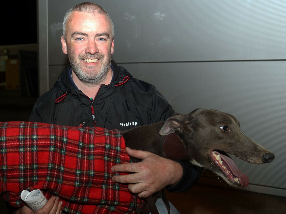 Pat Connolly with Rocket Heart atfer qualifying for the Semi-Finals of the Con & Annie Kirby Memorial at Limerick Greyhound Stadium