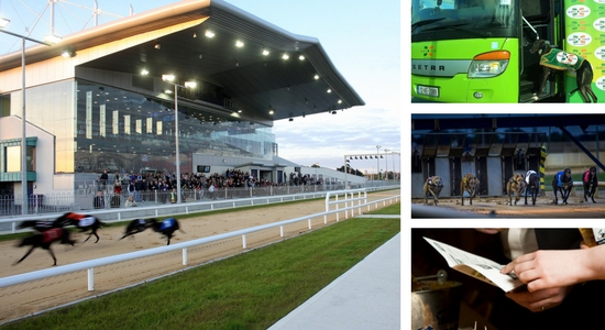 Catch the free Dublin Coach bus to the Limerick Student Race Night at Limerick Greyhound Stadium on Thursday 28th September 2017 Catch the free Dublin Coach bus to the Limerick Student Race Night at Limerick Greyhound Stadium on Thursday 28th September 2017